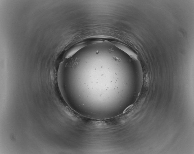 X0000115690424200911121312