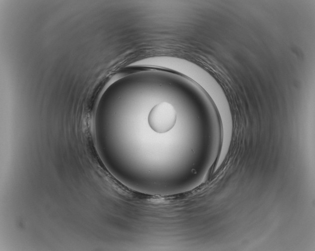 X0000115690425200911121312