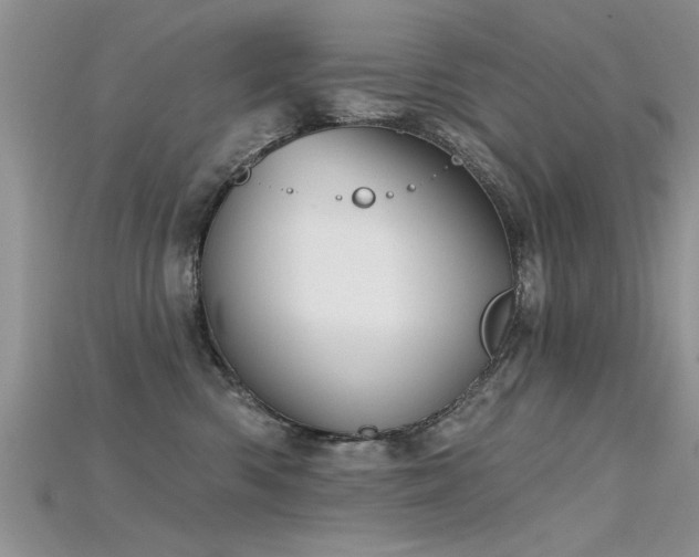 X0000115690426200911121311