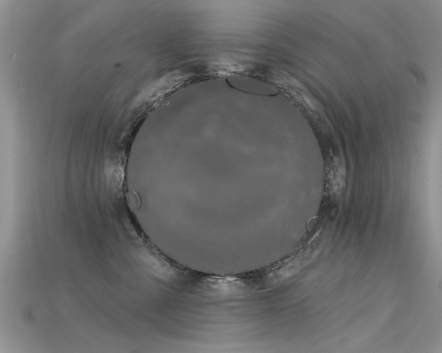 X0000115690427200911121311