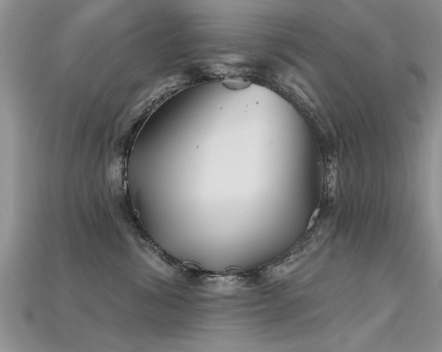 X0000115690428200911121311