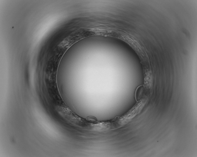 X0000115690430200911121311
