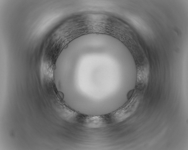 X0000115690431200911121311