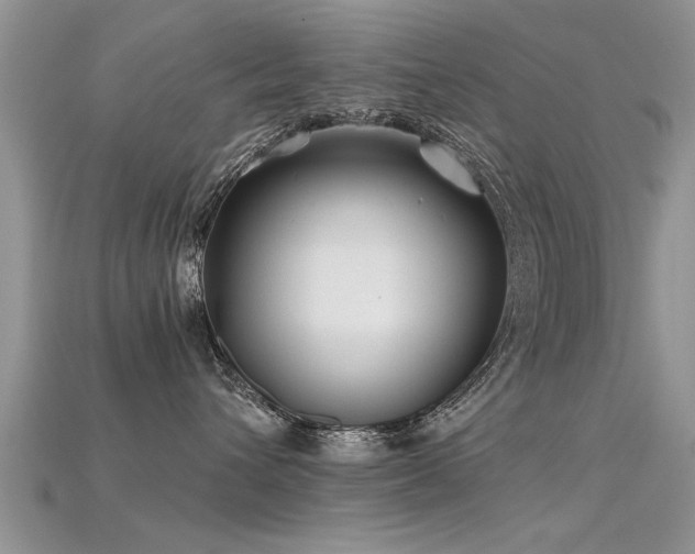 X0000115690432200911121311
