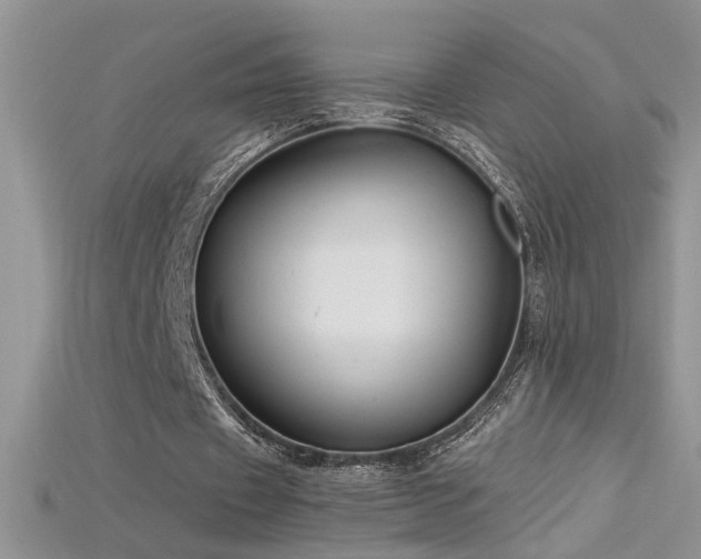 X0000115690433200911121311