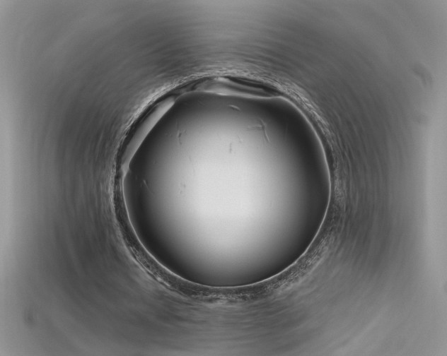 X0000115690434200911121311