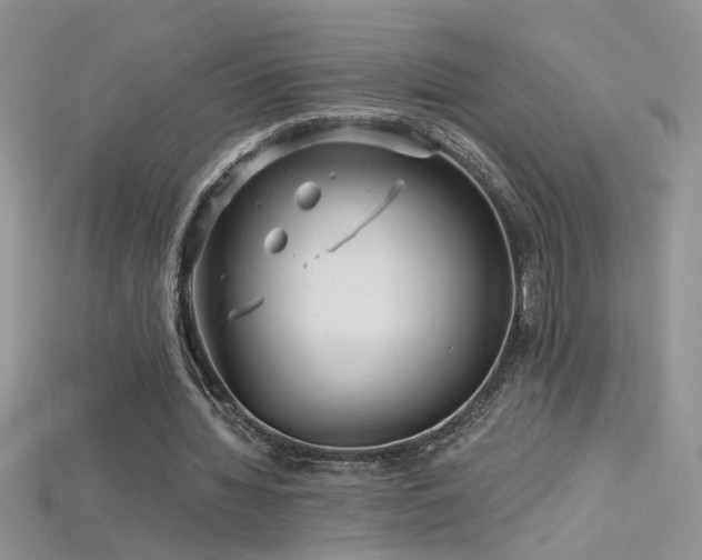 X0000115690436200911121311