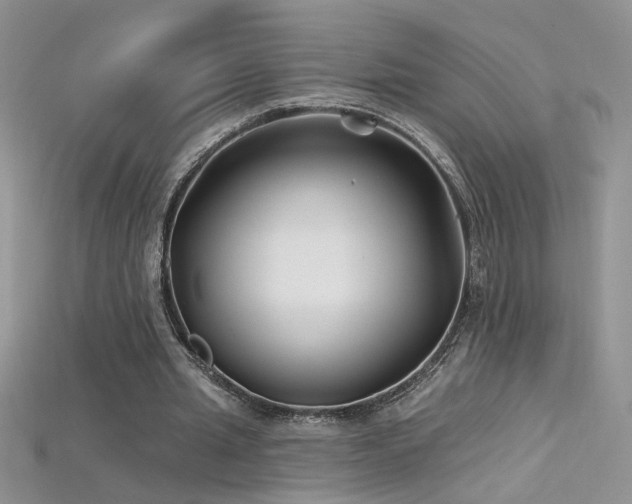 X0000115690437200911121311