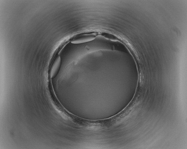 X0000115690438200911121311