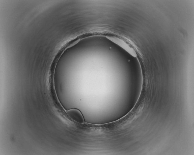 X0000115690439200911121311