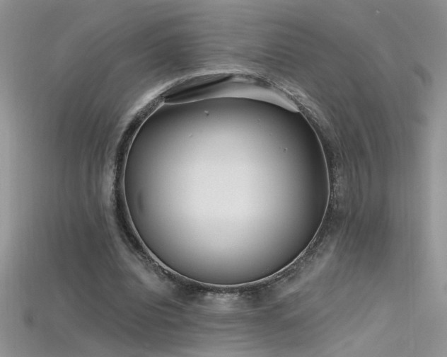 X0000115690440200911121311