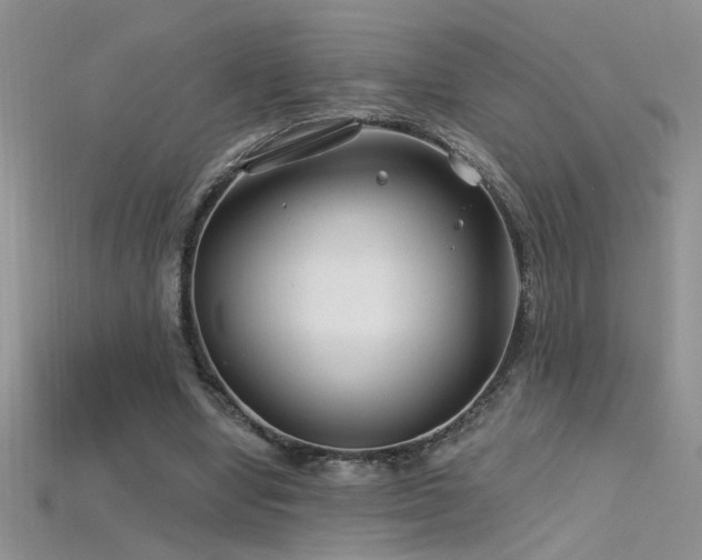 X0000115690442200911121311