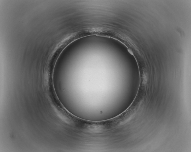 X0000115690444200911121311