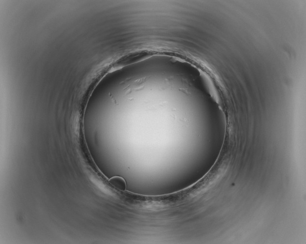 X0000115690445200911121311