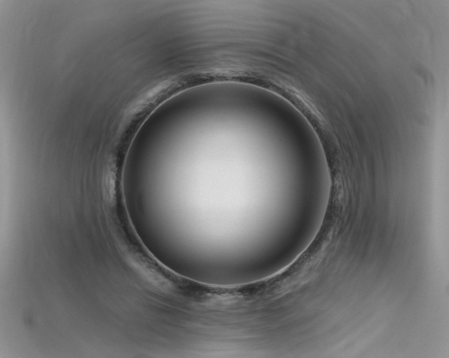 X0000115690446200911121311