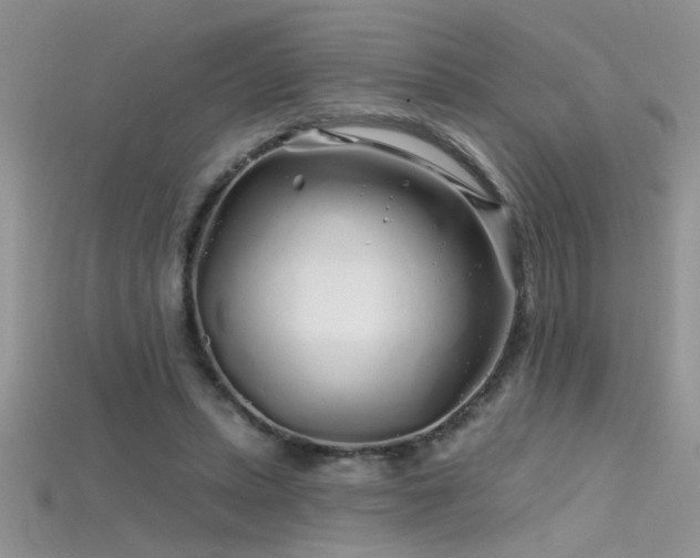 X0000115690447200911121311