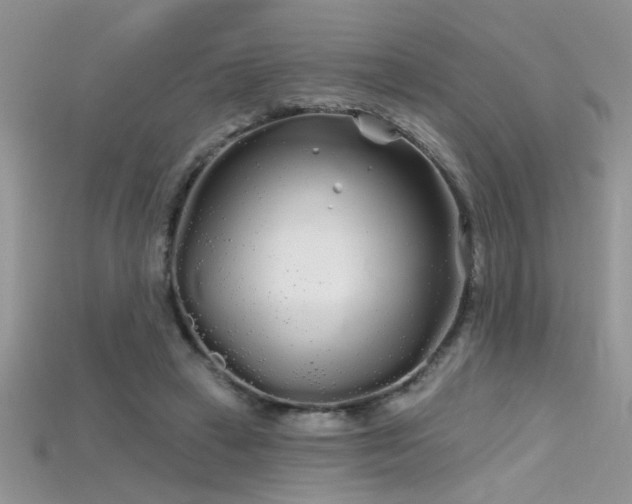 X0000115690449200911121311