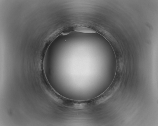 X0000115690450200911121311