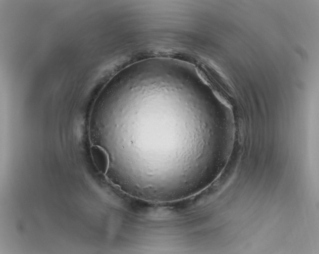 X0000115690451200911121311