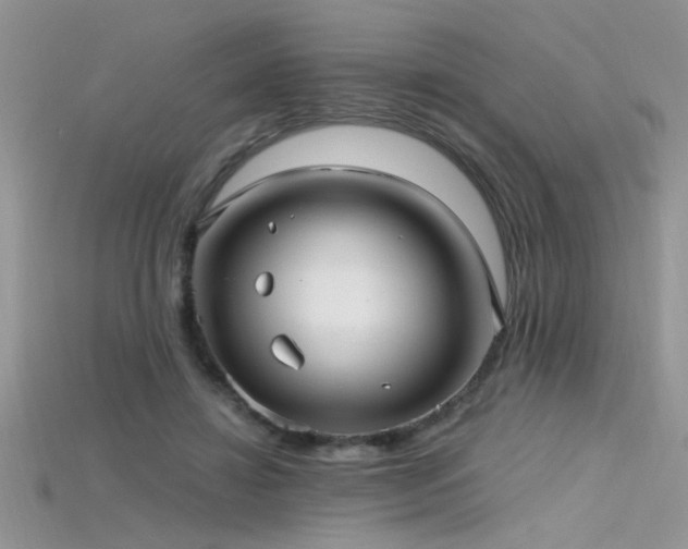 X0000115690452200911121311