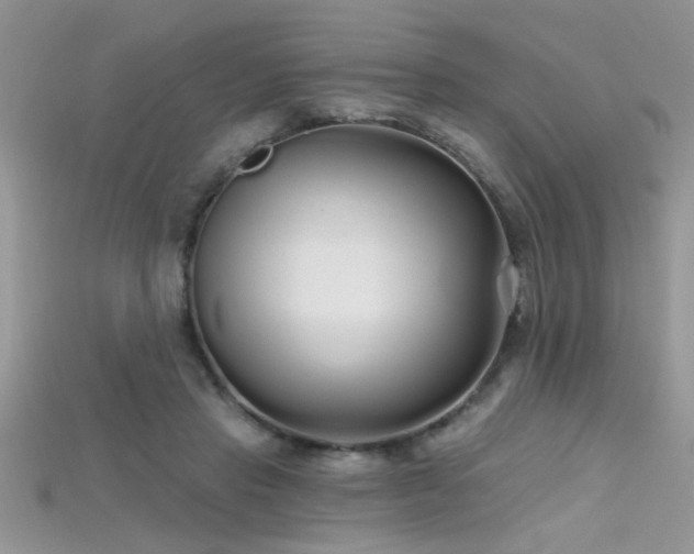 X0000115690453200911121311