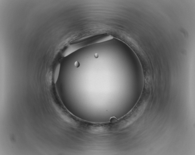 X0000115690454200911121311