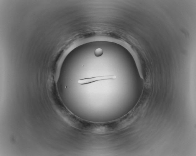 X0000115690456200911121311