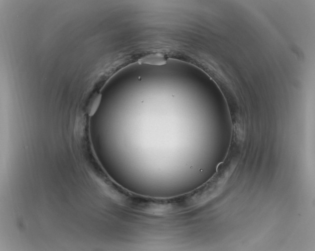 X0000115690458200911121311