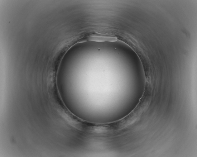 X0000115690462200911121311