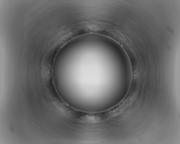 X0000115690464200911121311