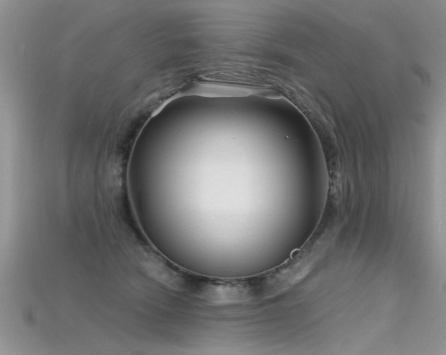 X0000115690466200911121311