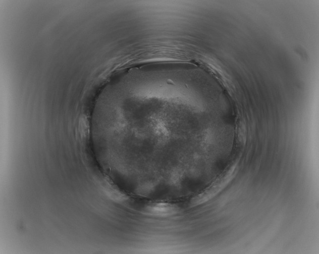X0000115690467200911121311