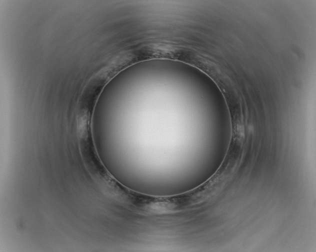 X0000115690468200911121311