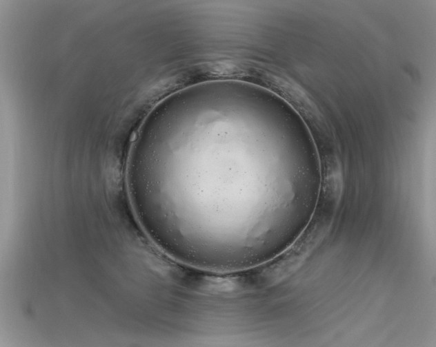 X0000115690469200911121311