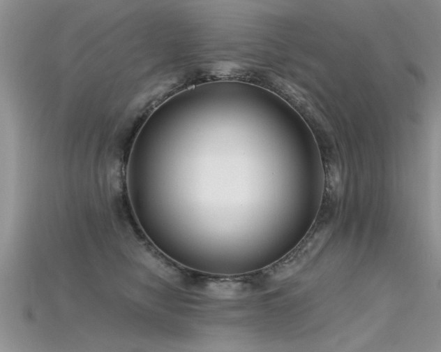 X0000115690470200911121311