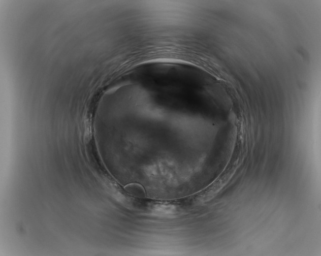 X0000115690471200911121311