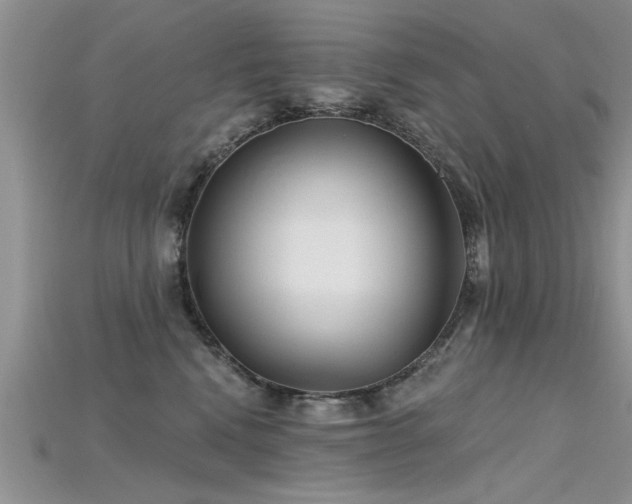 X0000115690472200911121311
