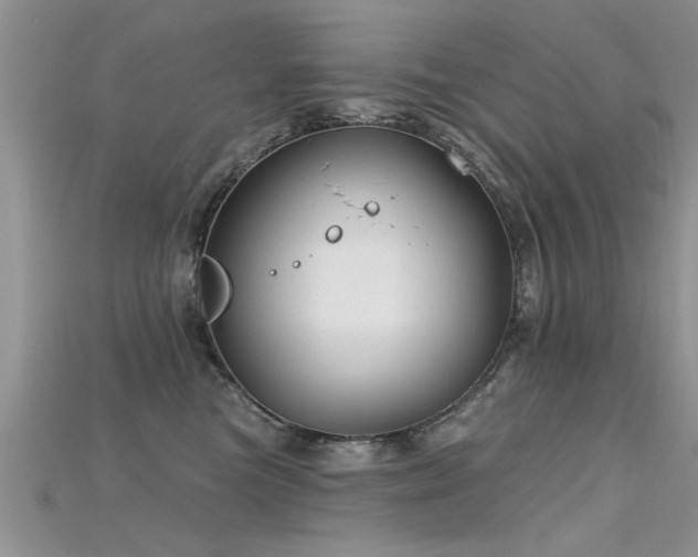 X0000115690473200911121311