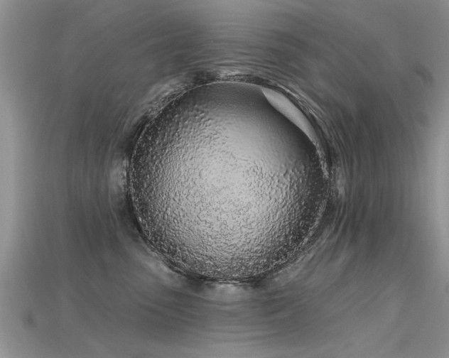 X0000115690475200911121311