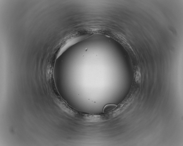 X0000115690476200911121311