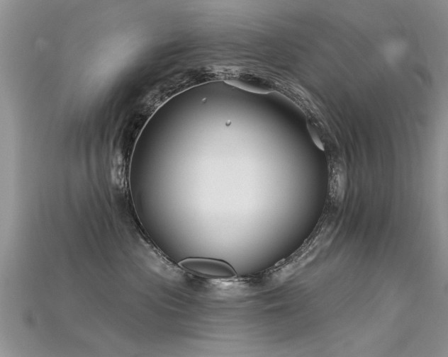 X0000115690477200911121311
