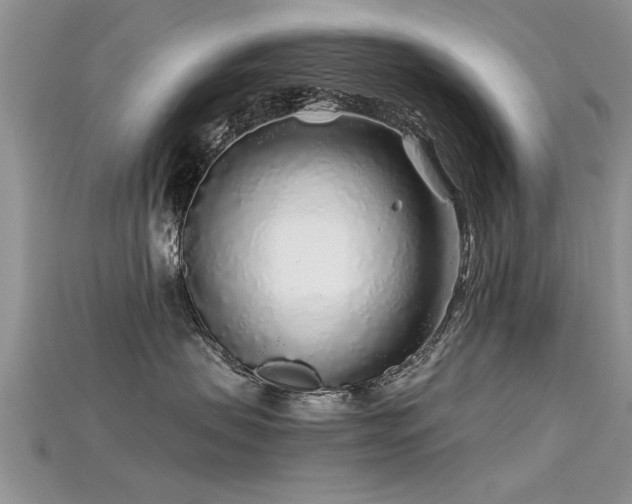 X0000115690479200911121311