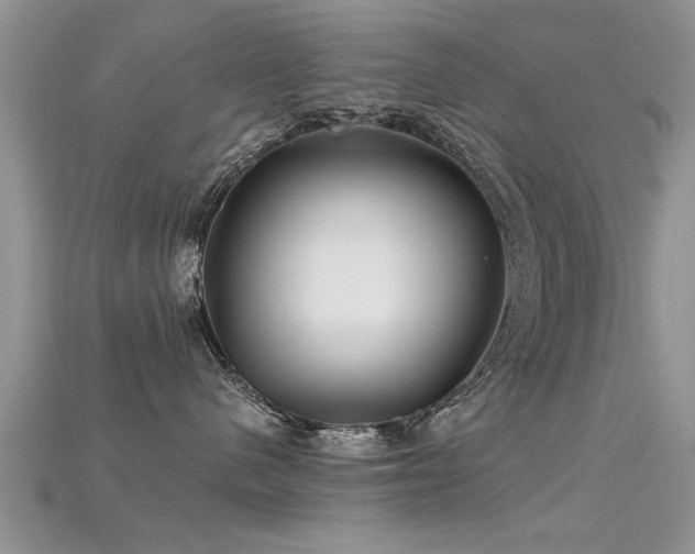 X0000115690480200911121311