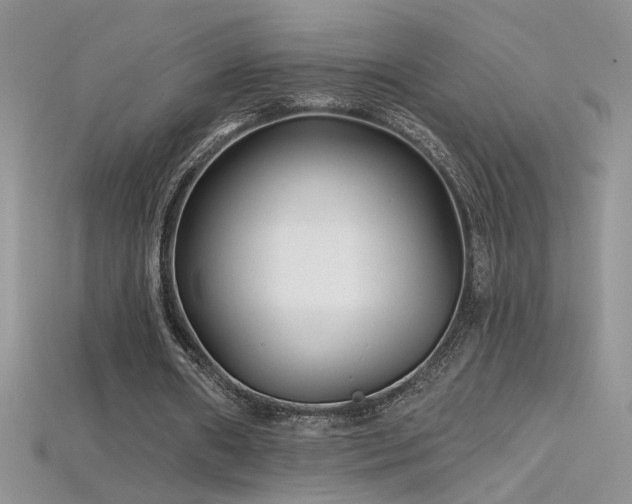 X0000115690482200911121311