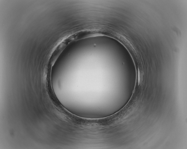 X0000115690483200911121311
