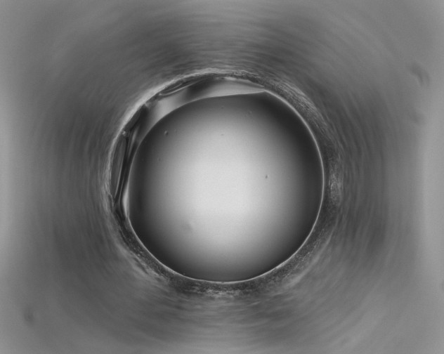 X0000115690484200911121311