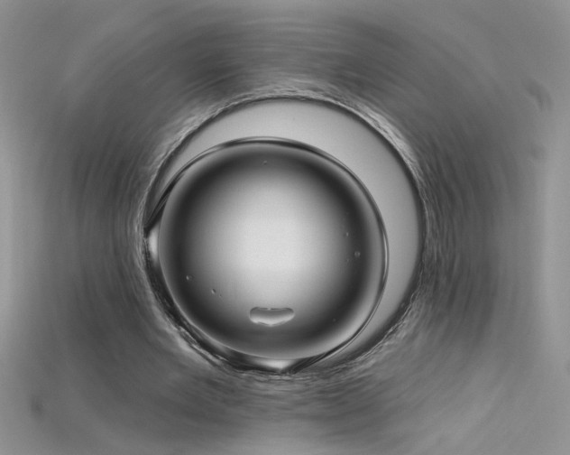 X0000115690485200911121311