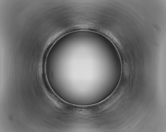X0000115690486200911121311