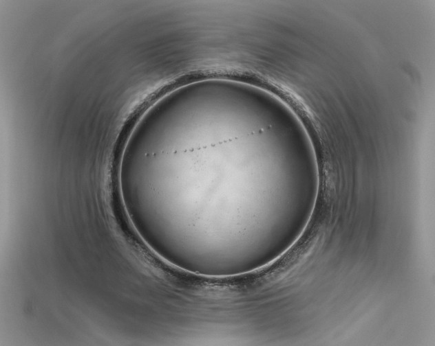 X0000115690487200911121311