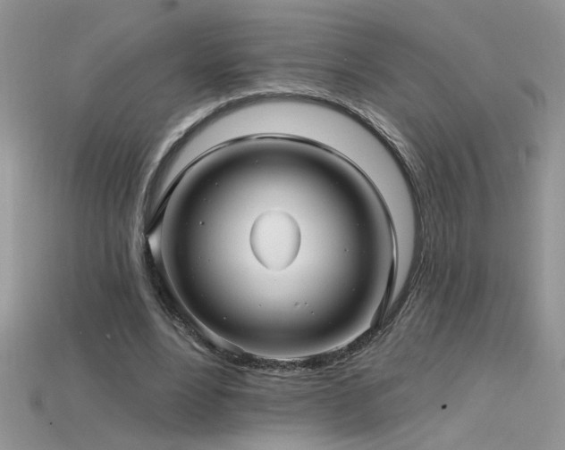 X0000115690488200911121311